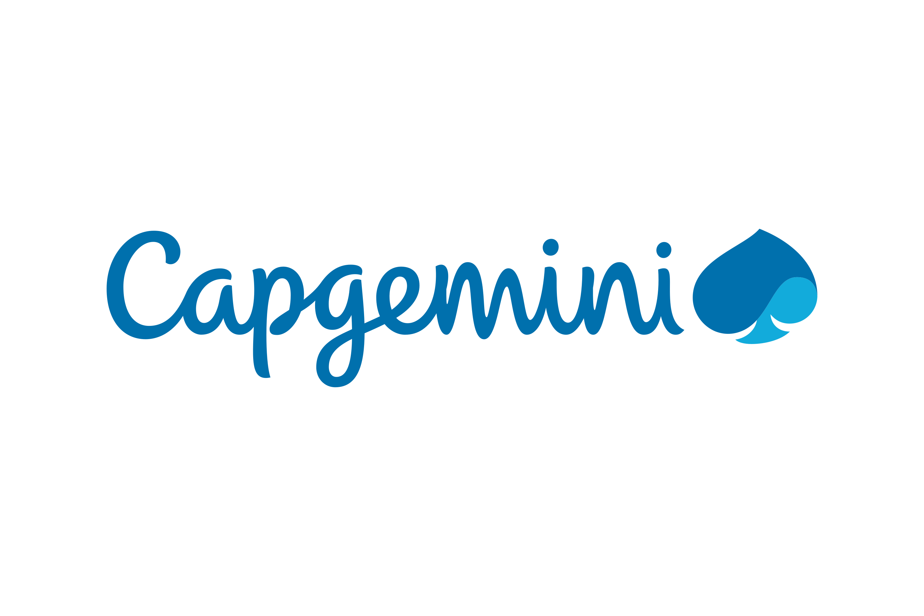 Capgemini Logo.wine